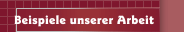 Beispiele unserer Arbeit